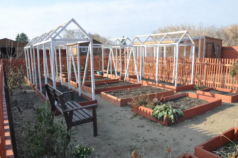 На участке Ирины Фишбух в деревне. Фото: ©️ 