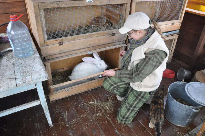 Ирина Фишбух показывает белого кролика