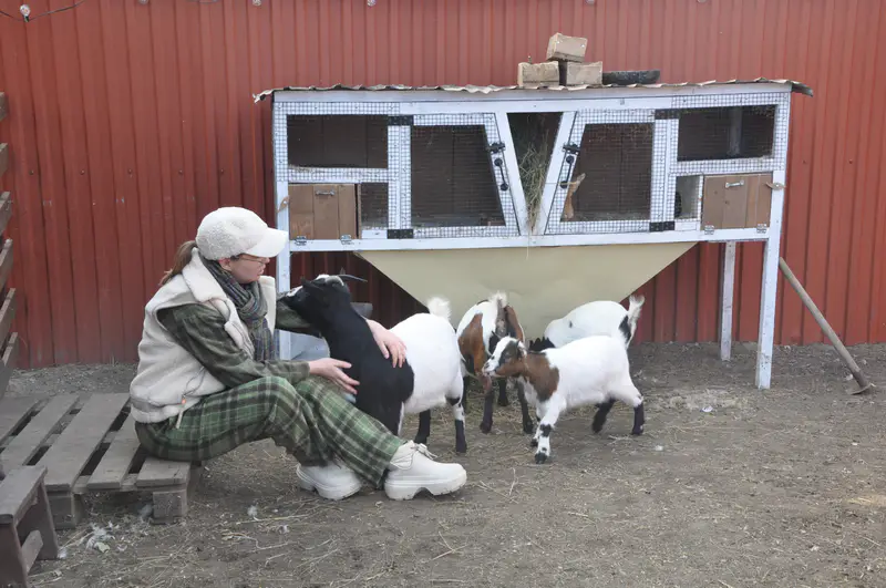 Ирина Фишбух с козами