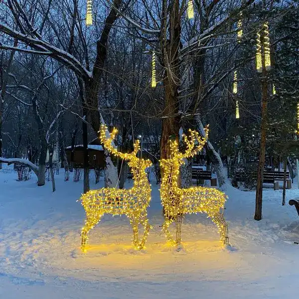 Немного волшебства: кто в Караганде создаёт новогоднюю атмосферу (7)