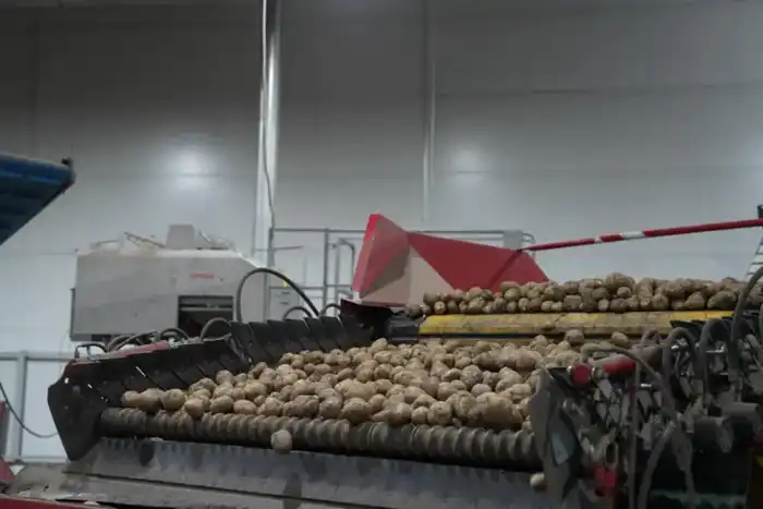 Рост производства лука и увеличение запасов картофеля в Казахстане к 29.12.2025 Астане