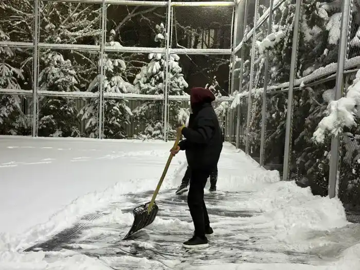 Алматы: Лидер в экологических инициативах среди молодежи в 2025 году Астане