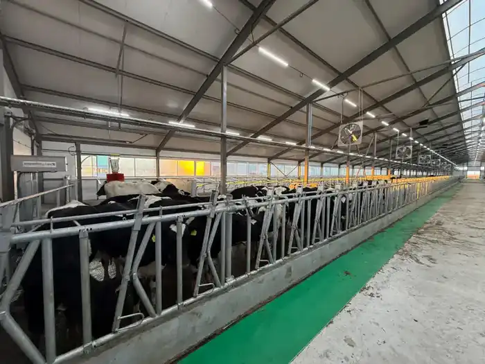 15 New Investment Projects in Livestock Sector to Launch in Kostanay Region by 2026 Астане