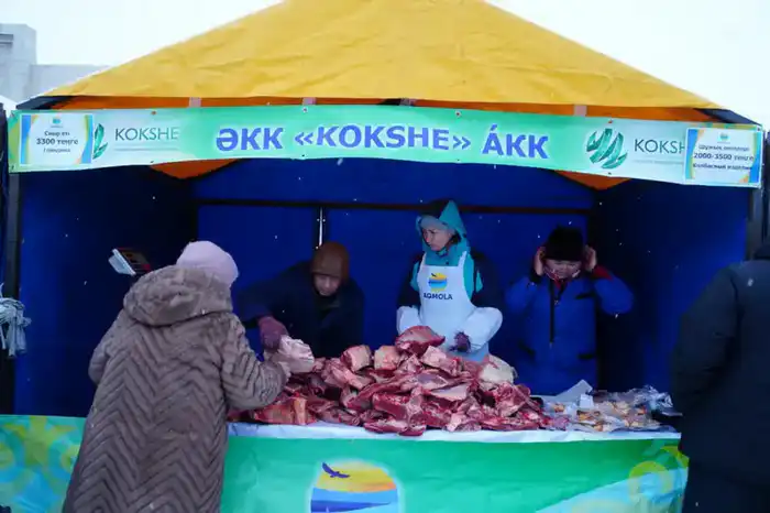 200 тонн продуктов по доступным ценам: в Кокшетау прошла областная ярмарка (5)
