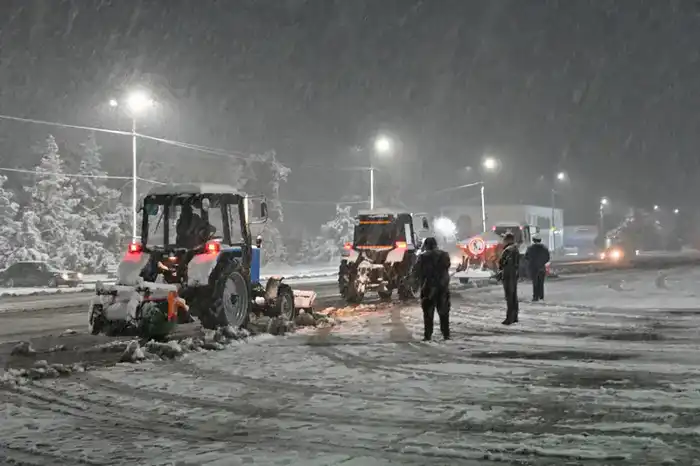 Официальная информация (3)