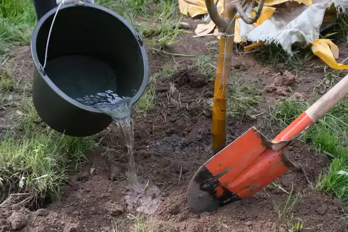 Дархан Сатыбалды обозначил приоритеты экологической политики Алматы в рамках программы «Таза Қазақстан» (4)
