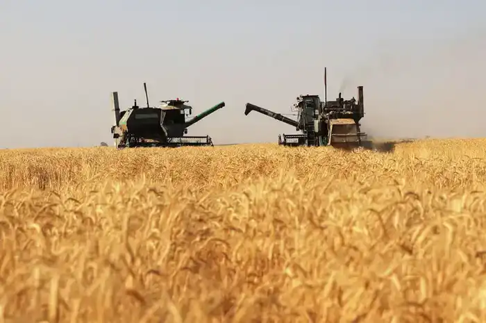 Почти 30 млрд тенге субсидий направлено на развитие агросектора Жамбылской области (4)