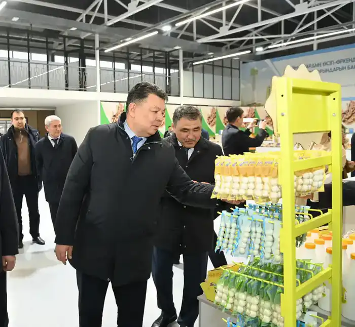 Заместитель Премьер-министра ознакомился с работой малой промышленной зоны «Тумар» (4)