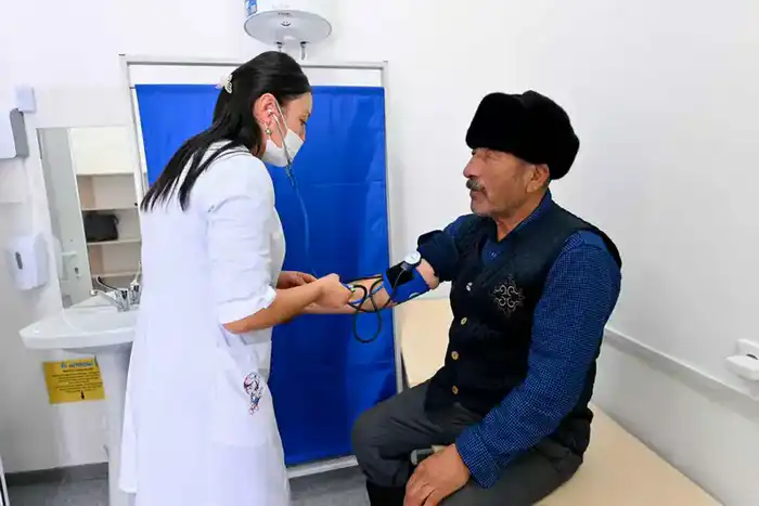 Аким области ознакомился с работой медицинского пункта в селе Малтүгел (5)