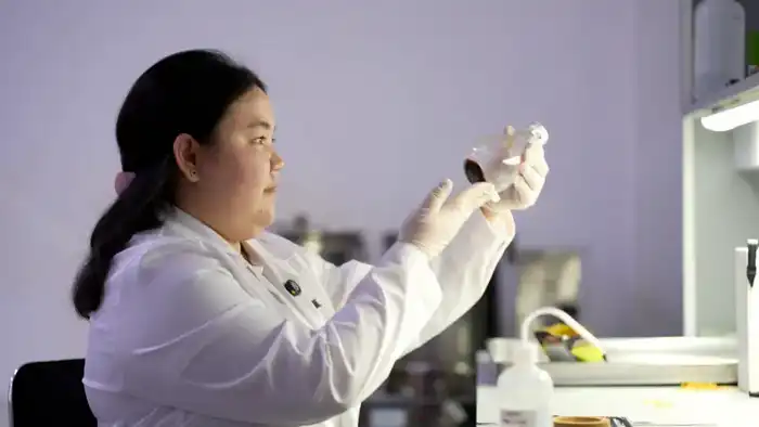 Цикорий: секретный союзник в борьбе с диабетом? Астане