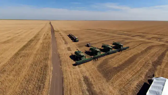 Акмолинская область стала лидером страны по валовому сбору зерновых (2)