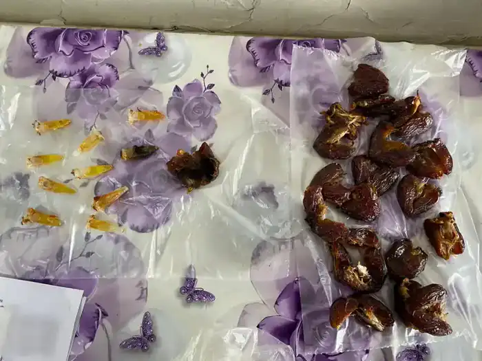 Запрещённые предметы не пройдут: гашиш и телефоны изъяты! Астане