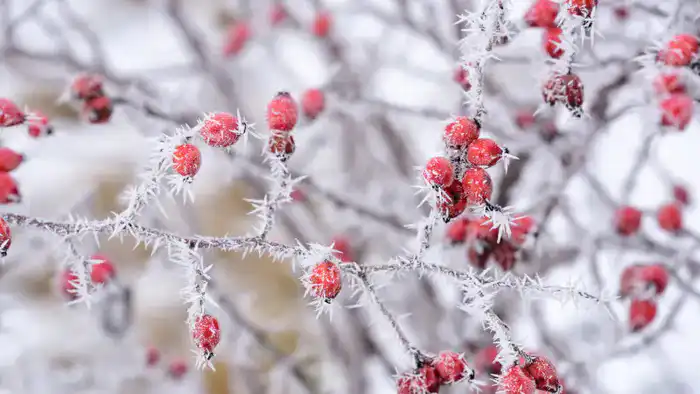 35-градусные морозы ожидаются в Казахстане: синоптики Казгидромета представили прогноз на 9-11 декабря Астане