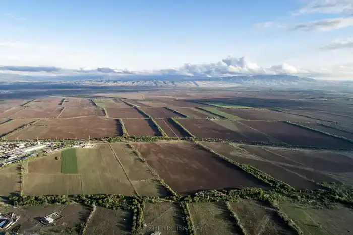 За 3 года в Жетісу введено в оборот 712 тыс. га неиспользуемых земель, а еще 603 тыс. га возвращено в госсобственность (4)