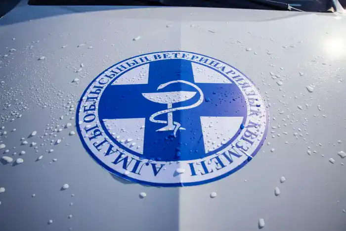 38 новых медицинских учреждений, 347 единиц техники и новые машины скорой помощи: какие изменения произошли в сфере здравоохранения в Алматинской области в 2025 году (4)