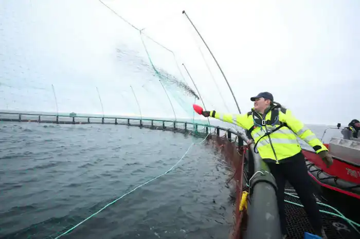 Проект по аквакультуре морского лосося в Мангистауской области Астане