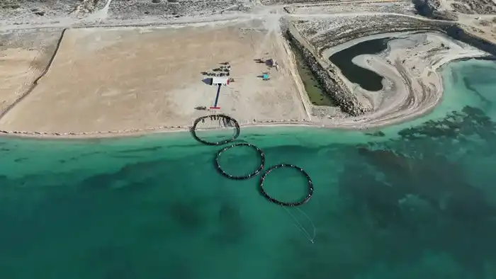 Рыбный бум: Казахстан готовится к аквареволюции! Астане