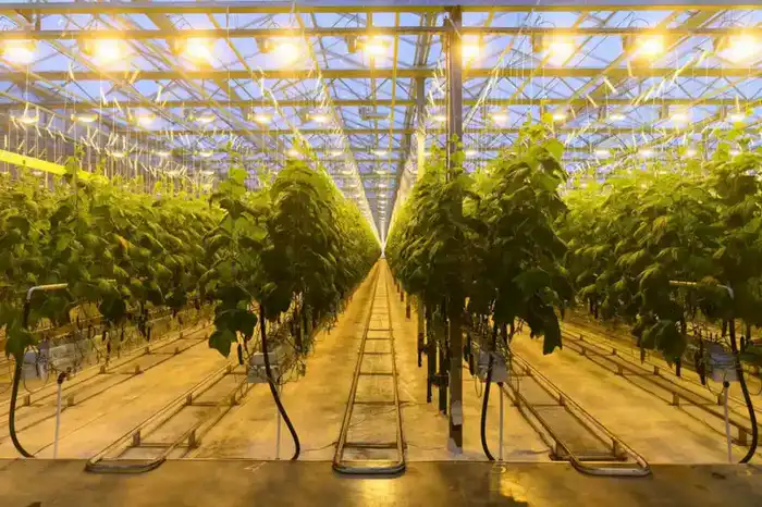 Производство сгущенного молока мощностью 12 тыс. тонн в год запустили в СКО (10)