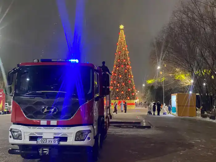 МЧС обеспечило пожарную безопасность при зажжении новогодних елок в столице (9)