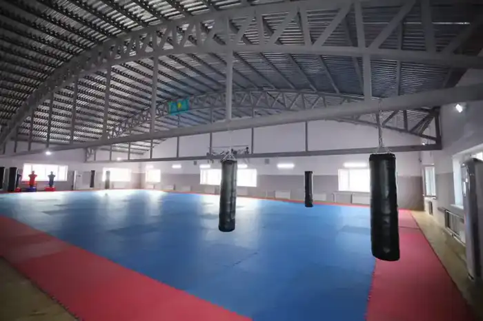 Создание специализированной школы-интерната для одарённых спортсменов в Мангистау как шаг к развитию спортивного потенциала региона Астане