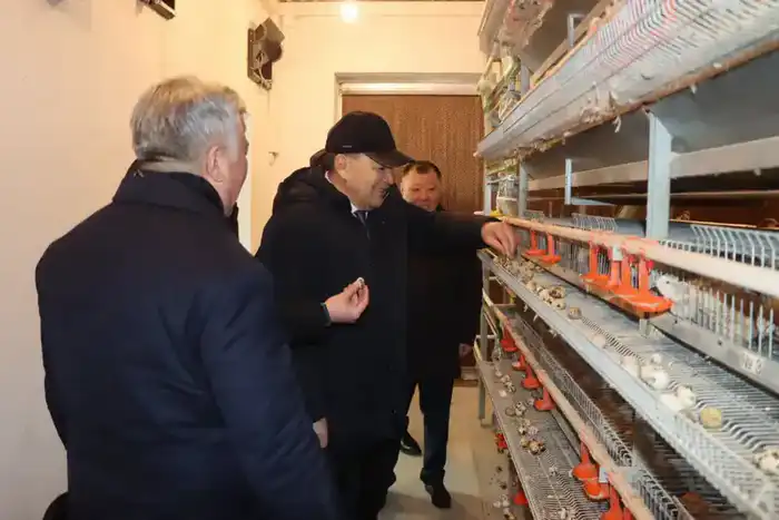 Советник главы Правительства посетил село Бесарык (4)