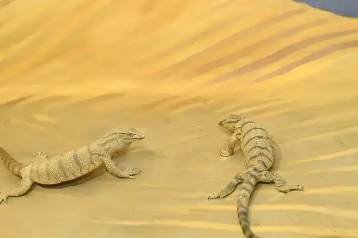 В Кызылорде построено жилье для работников сферы культуры и передано 40 квартир (10)