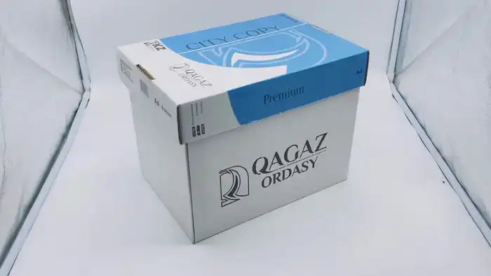 Производитель бумаги «Qagaz Ordasy» в Шымкенте стремится к росту и расширению продукции (2)