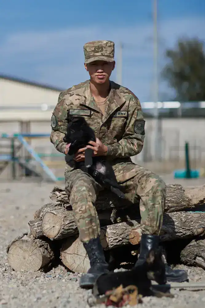 Щенки тоже готовы служить стране: в Нацгвардии увеличивается число породистых служебных собак (5)