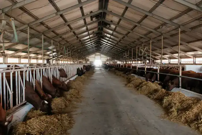 Атырауская область: урожайный дождь принес 116,8 млрд тенге в сельское хозяйство Астане