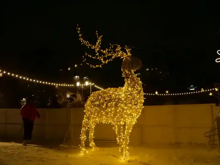 Сквер на месте пустыря и десятки тысяч новых деревьев появились в столичном районе Байконыр в 2025 году (6)