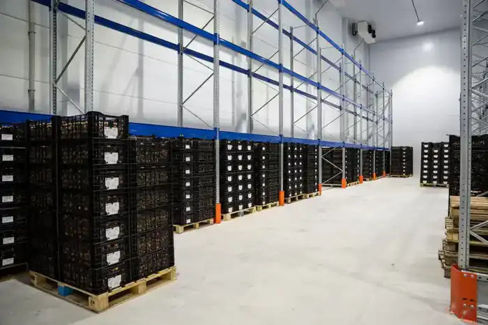 Логистика Алматинской области набирает обороты (4)