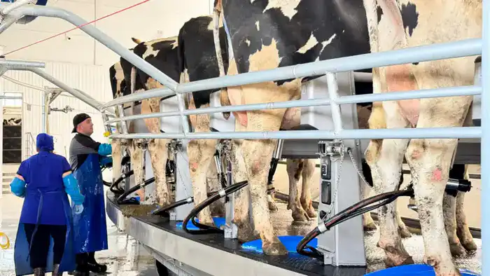 В СКО реализованы 84 инвестпроекта в агропромышленном комплексе с финансированием 200 млрд тенге Астане