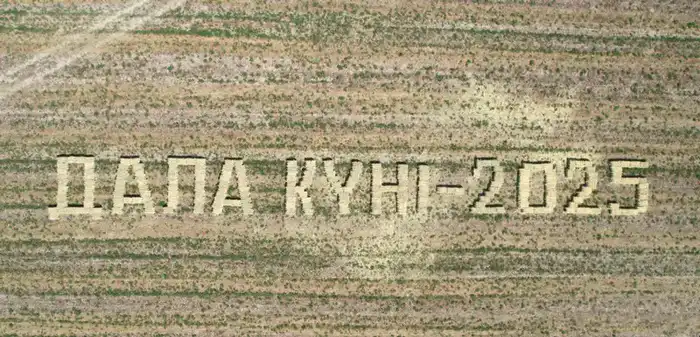 Посевные площади в Кызылординской области диверсифицируются (6)