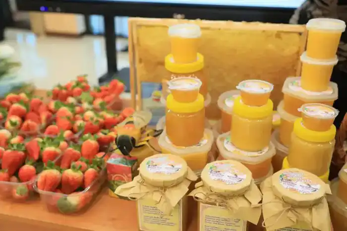 Актюбинская область: успехи программы «Ауыл аманаты» Астане