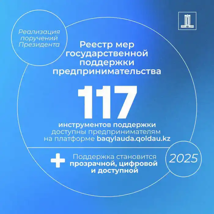 Исполнение поручений Президента по поддержке МСБ: каждый пятый казахстанец работает в сфере бизнеса (3)