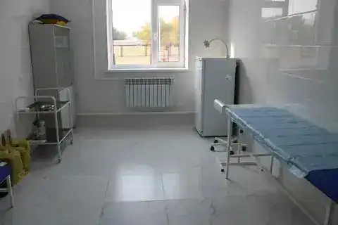 Новые медицинские острова заботы появятся в Карасайском районе Астане