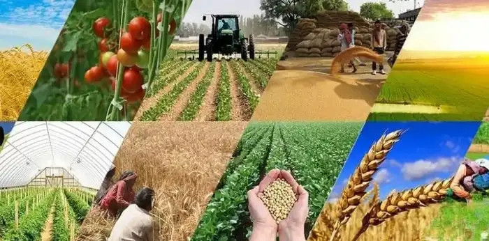 Казахстан: Виртуальная конференция по фитосанитарии Астане