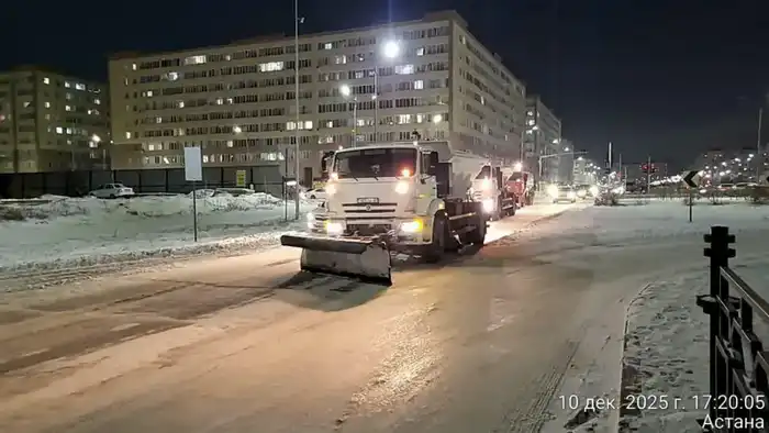 Около 1 200 единиц спецтехники заняты в снегоуборочных работах в Астане ночью (2)