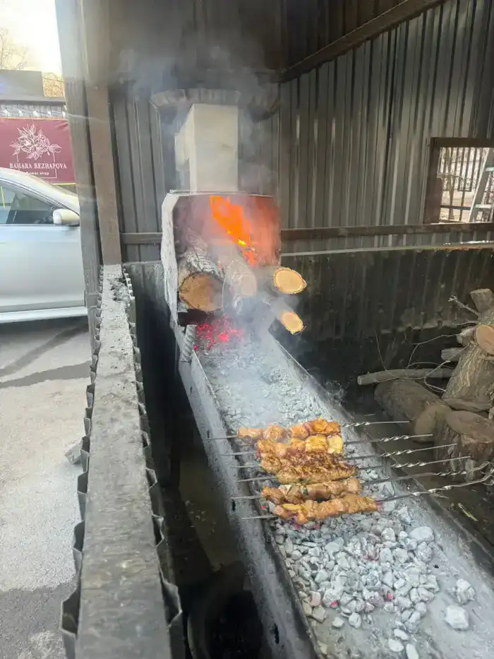 В Жетысуском районе Алматы пресекли незаконную работу «коптящихся» шашлычных (2)