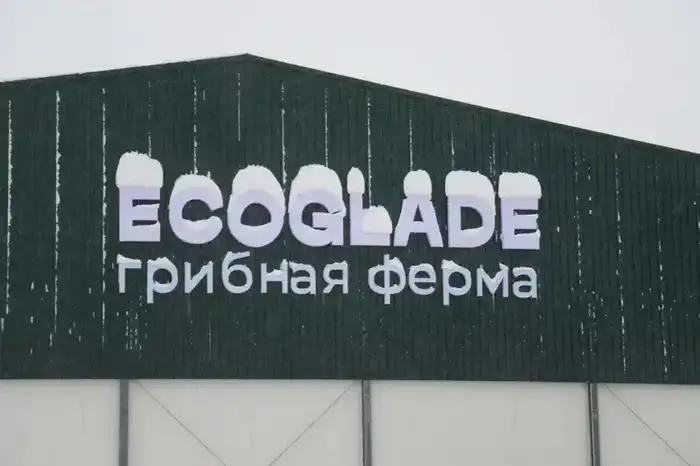 Производство сгущенного молока мощностью 12 тыс. тонн в год запустили в СКО (6)