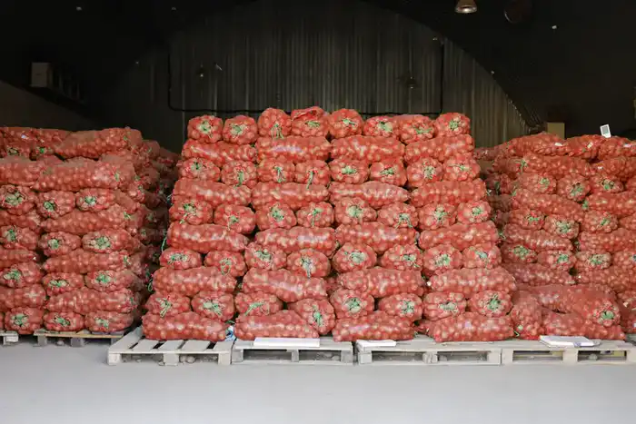 Первый вице-министр торговли и интеграции РК Айжан Бижанова посетила область Жетісу с рабочей поездкой (7)