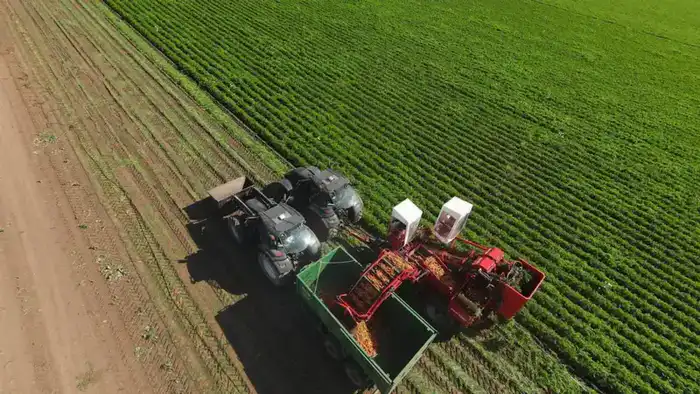 Акмолинская область: инвестиционный рост и развитие ключевых отраслей в Казахстане Астане