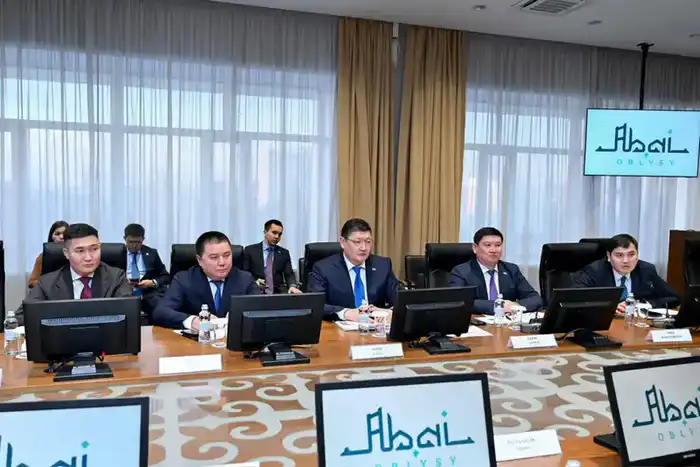 Аким области обсудил с индийскими инвесторами планы по строительству заводов в Семее и Курчатове Астане