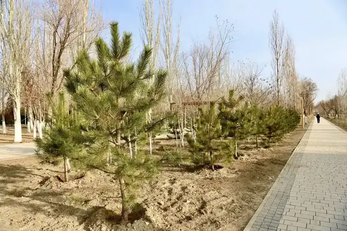 Новые зоны отдыха в Президентском парке Астане