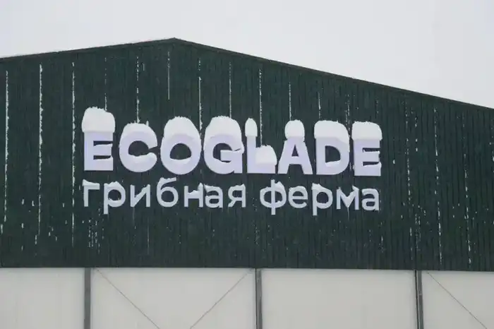 Открытие крупнейшей грибной фермы в регионе: новые рабочие места и рост производства Астане