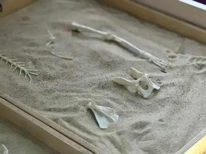 Семинар в Астане: Формирование профессиональной ориентации у детей через образовательные инициативы Астане