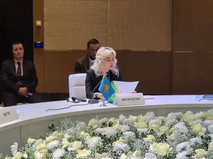 В. Шегай представила инициативы Казахстана на первой встрече министров труда Организации тюркских государств (3)