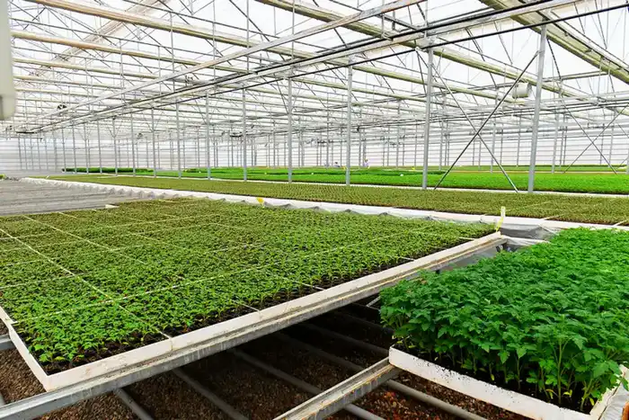 АПК Туркестанской области показывает высокие темпы развития (2)