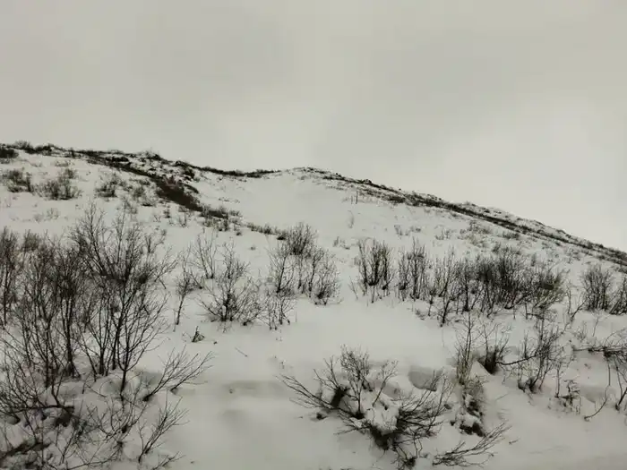 В ВКО проводится мониторинг за лавинной обстановкой (4)