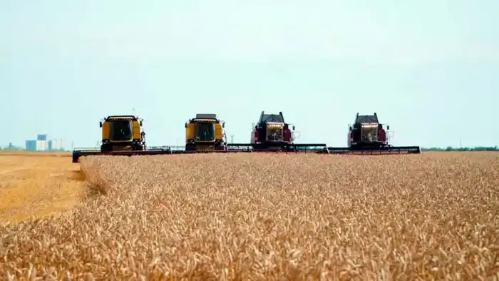 Кредитование для модернизации элеваторов в Казахстане: шаг к улучшению инфраструктуры хранения Астане